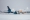 Boeing 747-47UF/SCD